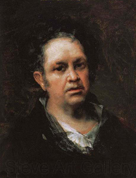 Francisco Goya Self-Portrait France oil painting art